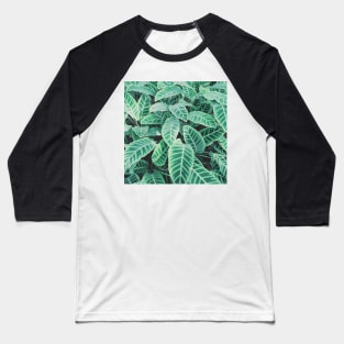 Pattern of Leaves Baseball T-Shirt